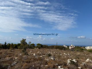 Οικόπεδο 8.114 τ.μ. για πώληση