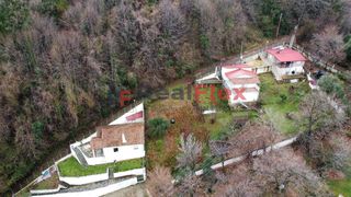 Άλλο 55 τ.μ. για πώληση, Ν. Λάρισας, Ευρύμενο-thumb-4