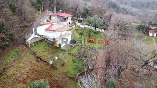 Άλλο 55 τ.μ. για πώληση, Ν. Λάρισας, Ευρύμενο-thumb-1
