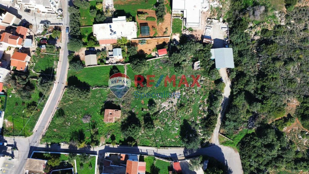 Οικόπεδο 1.315,96 τ.μ. προς πώληση, Κουνουπιδιανά