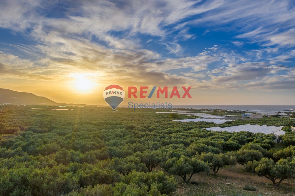 Οικόπεδο 2.717 τ.μ. προς πώληση, Φαλασαρνά