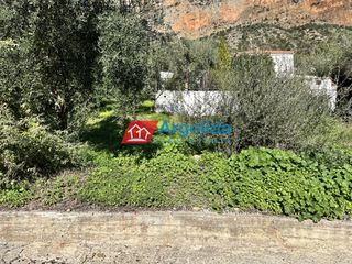 Οικόπεδο 215 τ.μ. για πώληση, Αρκαδία, Λεωνίδιο-thumb-9