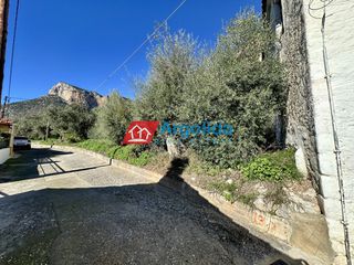 Οικόπεδο 215 τ.μ. για πώληση, Αρκαδία, Λεωνίδιο-thumb-6