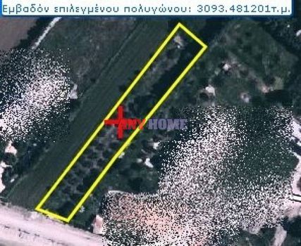 Αγροτεμάχια 3.000 τ.μ. προς πώληση