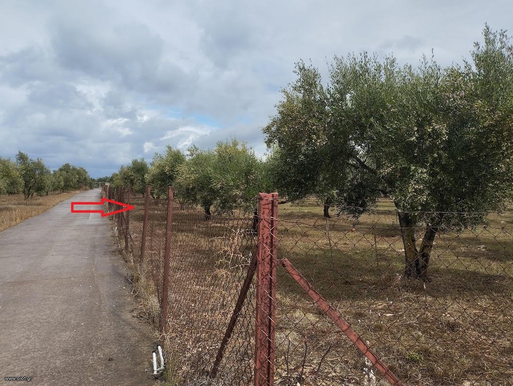 Οικόπεδο 4.005 τ.μ. πρός πώληση, Μεσσηνία, Φιλιατρά
