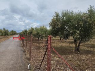 Οικόπεδο 4.005 τ.μ. για πώληση