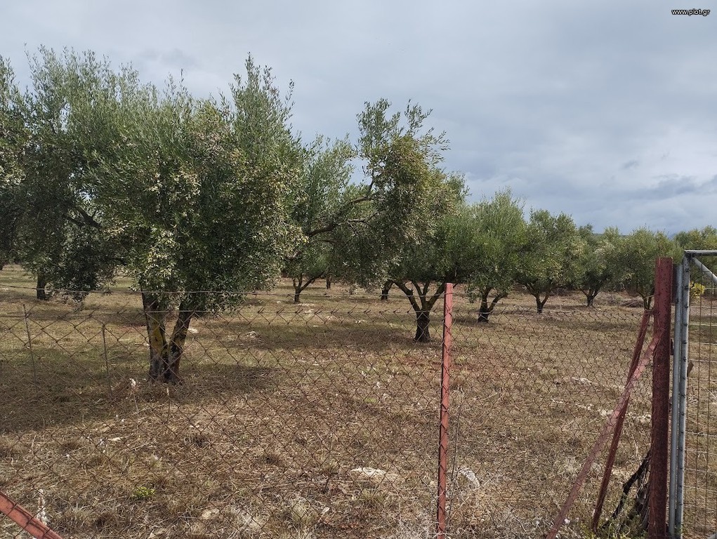 Οικόπεδο 4.005 τ.μ. πρός πώληση, Μεσσηνία, Φιλιατρά