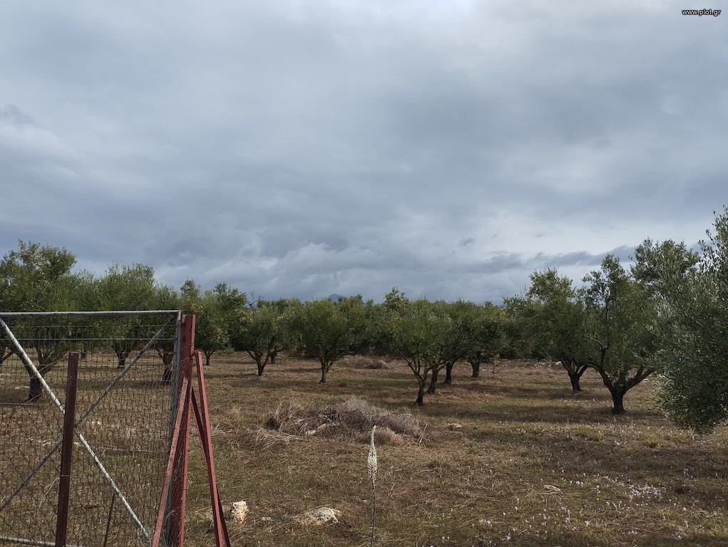 Οικόπεδο 4.005 τ.μ. πρός πώληση, Μεσσηνία, Φιλιατρά