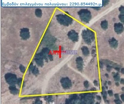 Αγροτεμάχια 2.312τ.μ. για πώληση-Σταγείρων - ακάνθου » Κουμίτσα