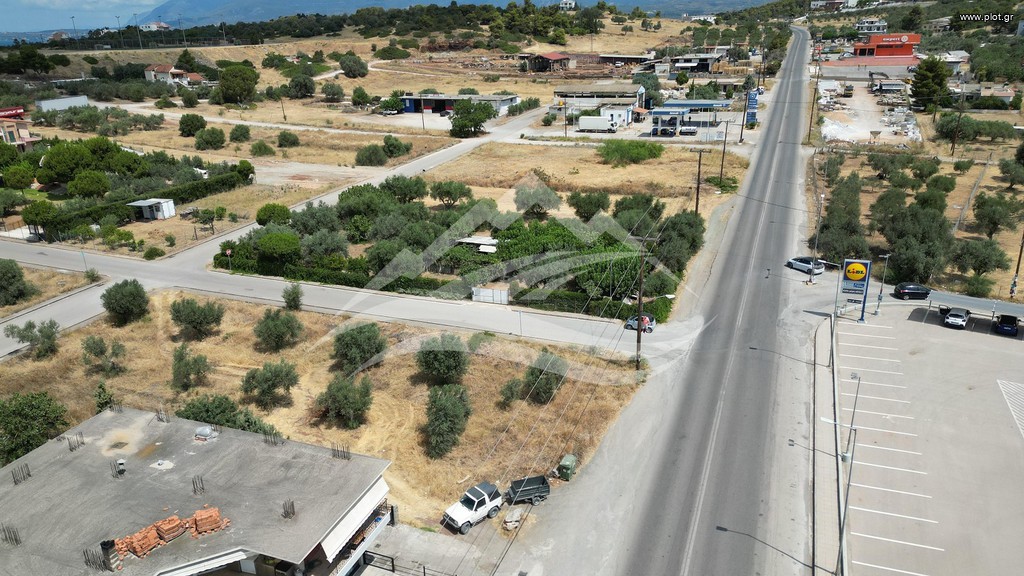 Οικόπεδο 1.332 τ.μ. πρός πώληση, Εύβοια, Νέα Αρτάκη