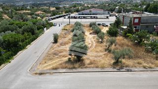 Οικόπεδο 1.332 τ.μ. για πώληση, Εύβοια, Νέα Αρτάκη-thumb-10