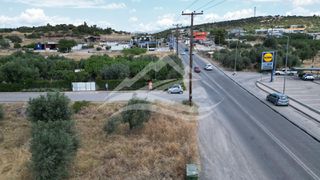 Οικόπεδο 1.332 τ.μ. για πώληση, Εύβοια, Νέα Αρτάκη-thumb-19