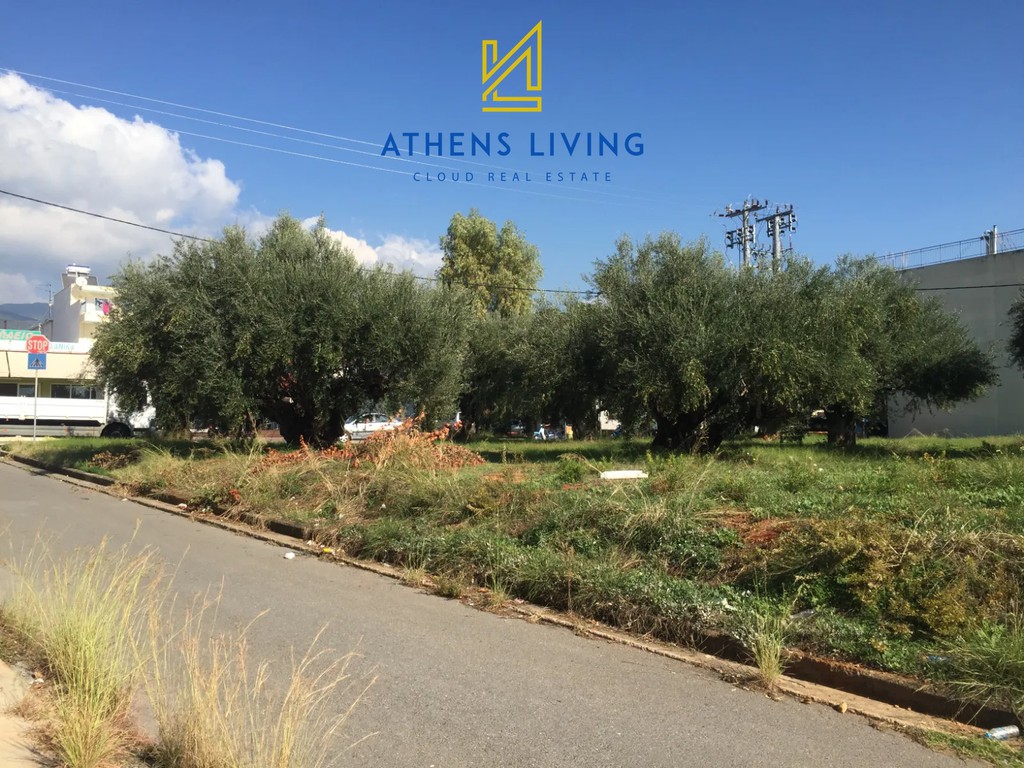 Οικόπεδο 1.450 τ.μ. πρός ενοικίαση, Μεσσηνία, Καλαμάτα