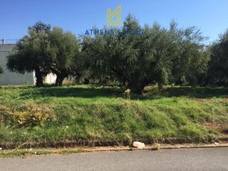 Οικόπεδο 1.450 τ.μ. για ενοικίαση, Μεσσηνία, Καλαμάτα-thumb-3