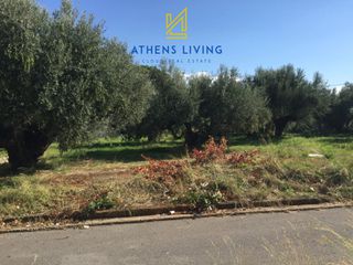 Οικόπεδο 1.450 τ.μ. για ενοικίαση