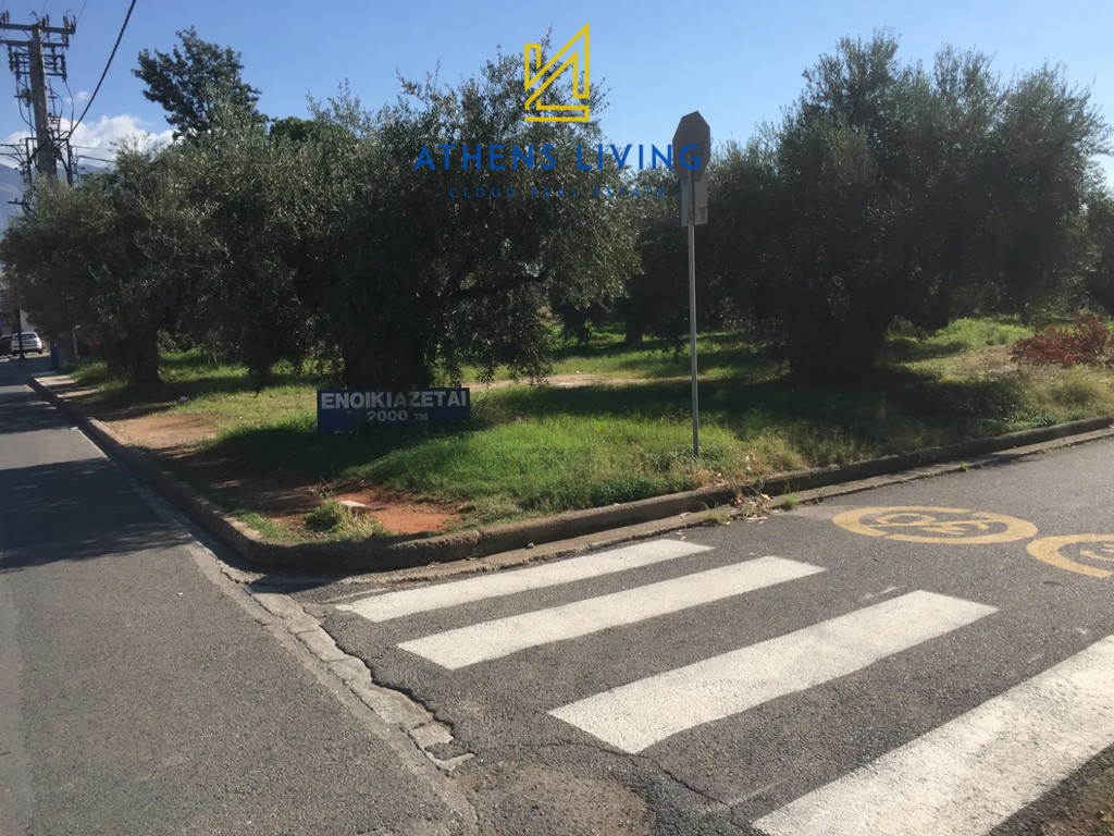 Οικόπεδο 1.450 τ.μ. πρός ενοικίαση, Μεσσηνία, Καλαμάτα