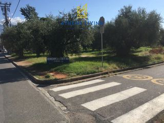 Οικόπεδο 1.450 τ.μ. για ενοικίαση, Μεσσηνία, Καλαμάτα-thumb-4