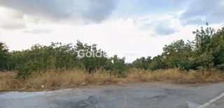Οικόπεδο 1.181 τ.μ. για πώληση