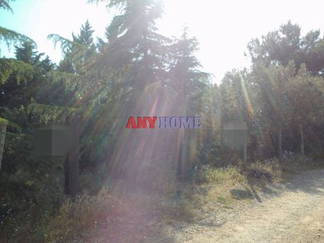 Αγροτεμάχια 305τ.μ. για πώληση-Επανομή » Λεύκες