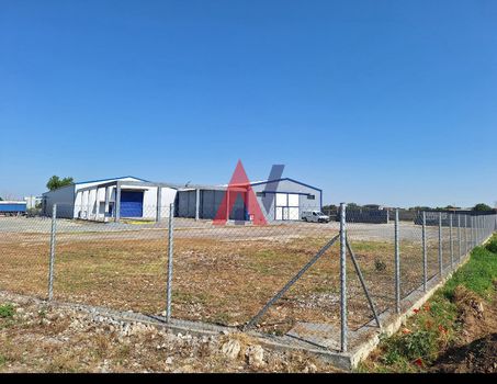 Αποθήκη 1.240τ.μ. για ενοικίαση-Εχέδωρος » Σίνδος