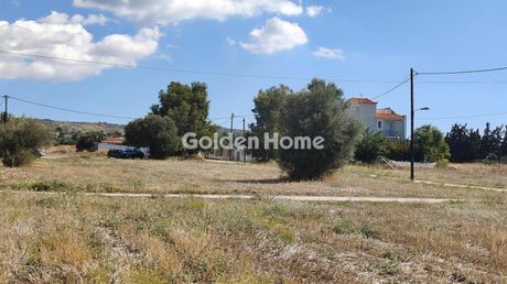 Οικόπεδο 584 τ.μ. προς πώληση