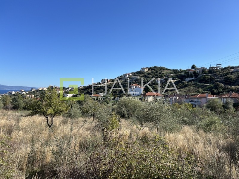 Οικόπεδο 614 τ.μ. πρός πώληση, Μαγνησία, Βόλος