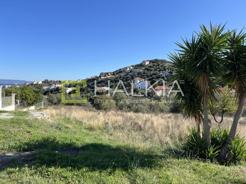 Οικόπεδο 614 τ.μ. πρός πώληση, Μαγνησία, Βόλος