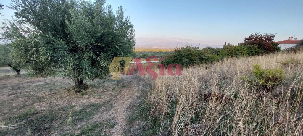 Οικόπεδο 13.100 τ.μ. προς πώληση, Ελαιοχώρι Δυτικής Αχαΐας