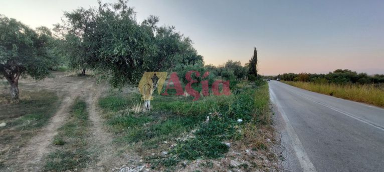 Οικόπεδο 13.100 τ.μ. για πώληση, Αχαΐα, Δυτικής Αχαΐας