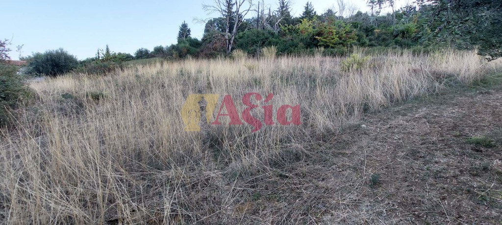 Οικόπεδο 13.100 τ.μ. προς πώληση, Ελαιοχώρι Δυτικής Αχαΐας