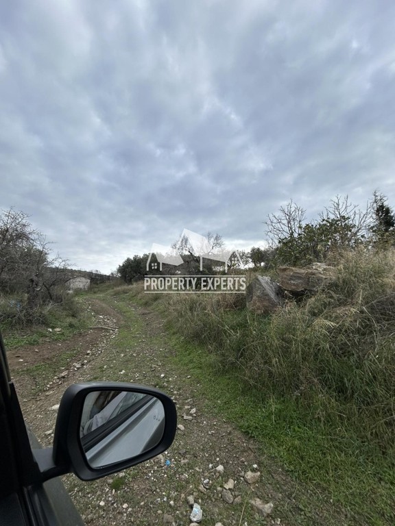 Αγροτεμάχια 7.500 τ.μ. προς πώληση, Δίκελλα