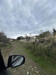 Αγροτεμάχια 7.500 τ.μ. για πώληση