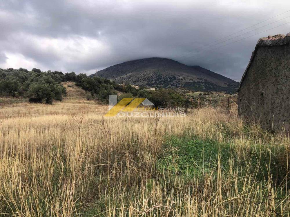 Land plot 2.567 sqm for sale, Evros, Samothraki