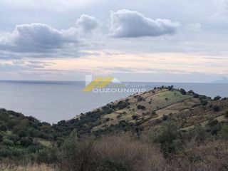 Οικόπεδο 2.567 τ.μ. για πώληση
