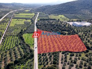 Αγροτεμάχια 14.777 τ.μ. για πώληση