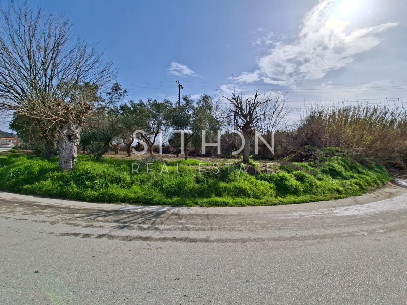 Αγροτεμάχια 2.285 τ.μ. προς πώληση, Συκιά Τορώνης