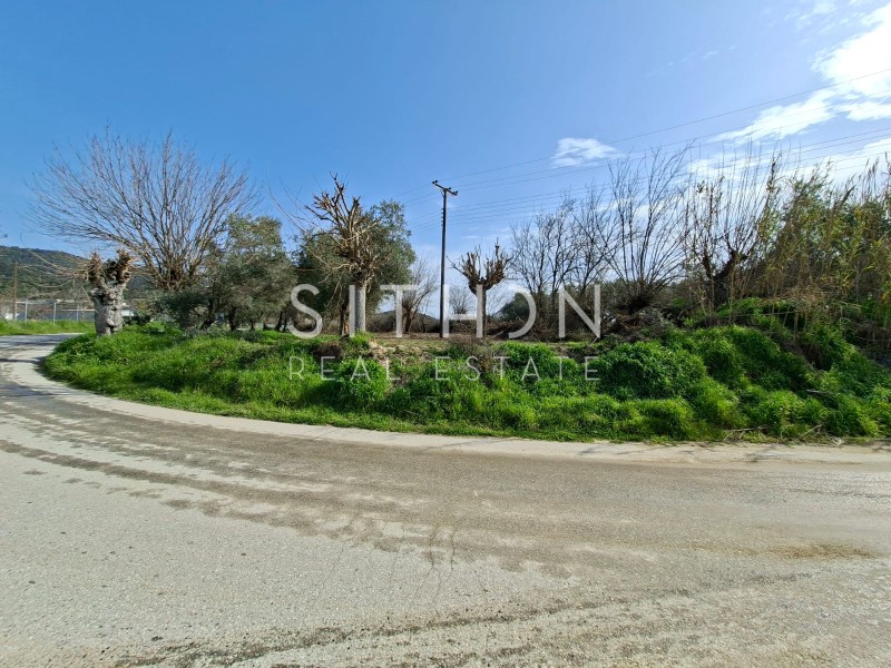 Αγροτεμάχια 2.285 τ.μ. προς πώληση, Συκιά Τορώνης