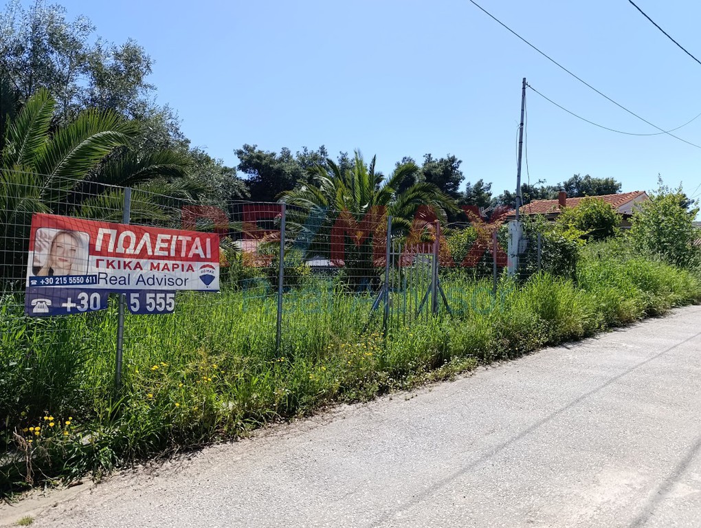Οικόπεδο 332 τ.μ. προς πώληση, Κ. Σκάλας Ωρωπού