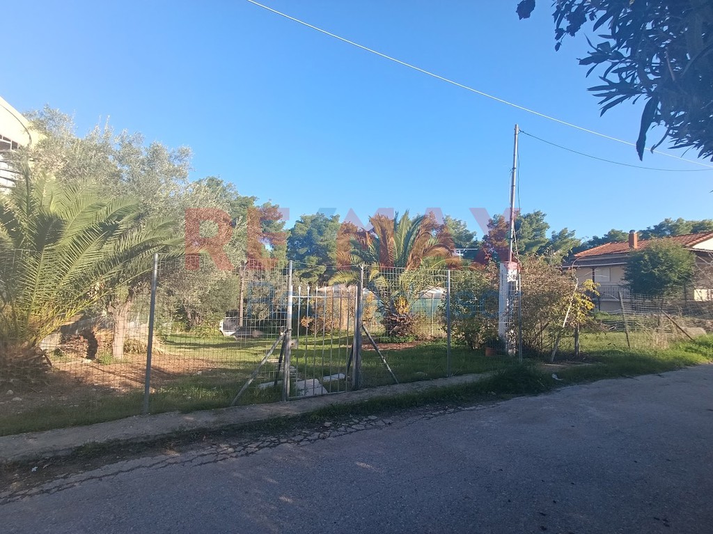 Οικόπεδο 332 τ.μ. προς πώληση, Κ. Σκάλας Ωρωπού