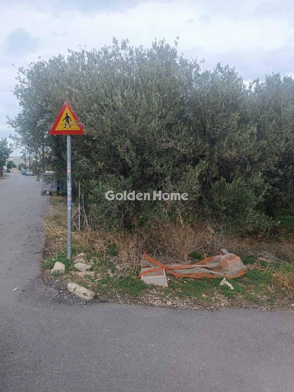 Αγροτεμάχια 1.126 τ.μ. προς ενοικίαση, Ν. Ηρακλείου, Νέα Αλικαρνασσός