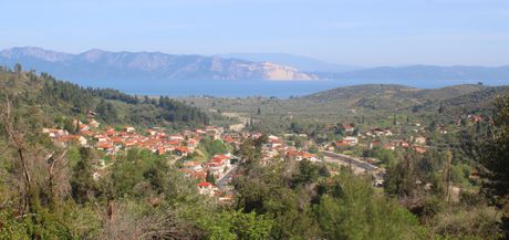 Land plot 4.300 sqm for sale