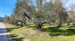 Οικόπεδο 2.483 τ.μ. για πώληση