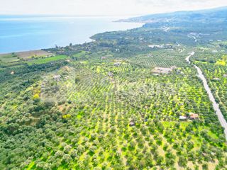 Αγροτεμάχια 15.600 τ.μ. προς πώληση, Πεταλίδι Μεσσηνίας-thumb-12