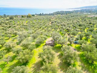 Αγροτεμάχια 15.600 τ.μ. προς πώληση, Πεταλίδι Μεσσηνίας-thumb-15