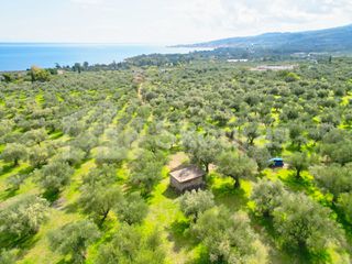 Αγροτεμάχια 15.600 τ.μ. προς πώληση, Πεταλίδι Μεσσηνίας-thumb-16
