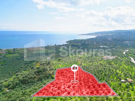 Αγροτεμάχια 15.600τ.μ. για πώληση-Πεταλίδι