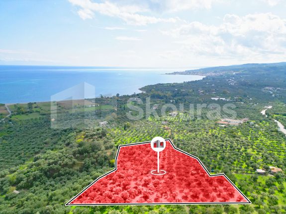 Αγροτεμάχια 15.600 τ.μ. για πώληση, Μεσσηνία, Πεταλίδι