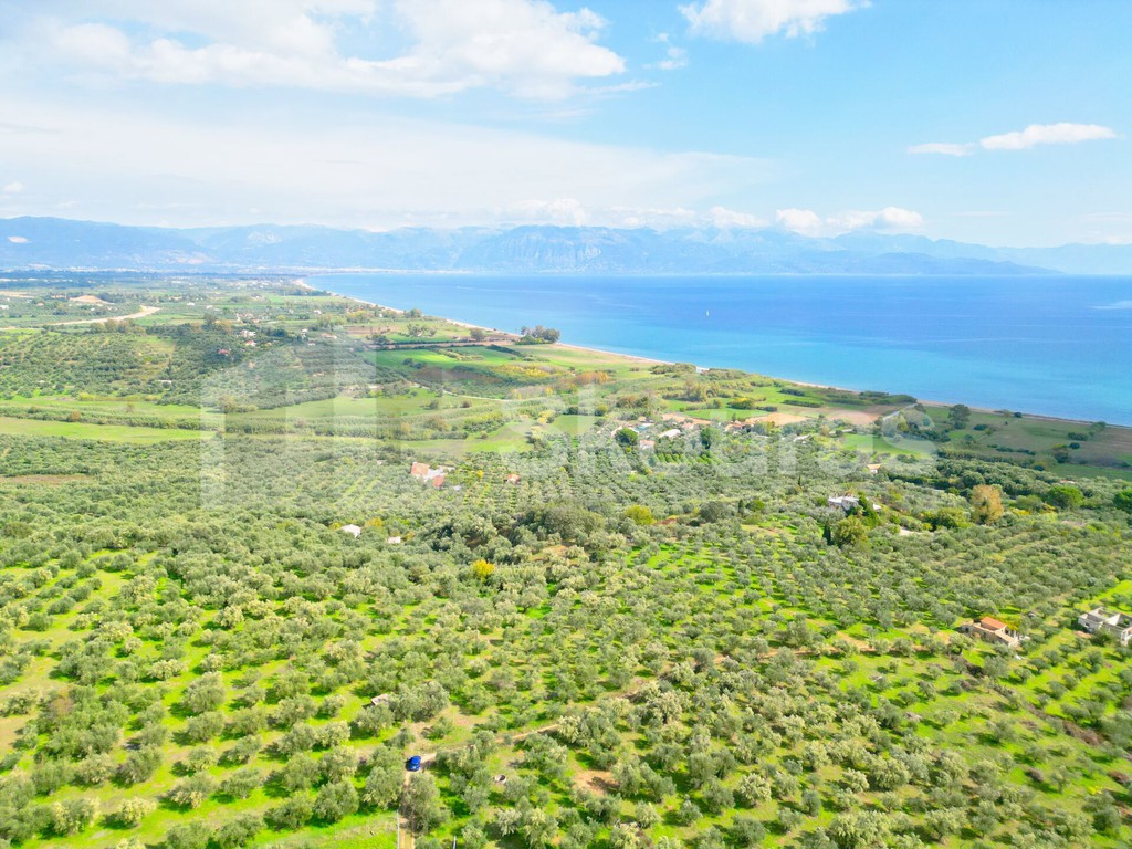 Αγροτεμάχια 15.600 τ.μ. προς πώληση, Πεταλίδι Μεσσηνίας