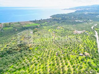 Αγροτεμάχια 15.600 τ.μ. προς πώληση, Πεταλίδι Μεσσηνίας-thumb-11