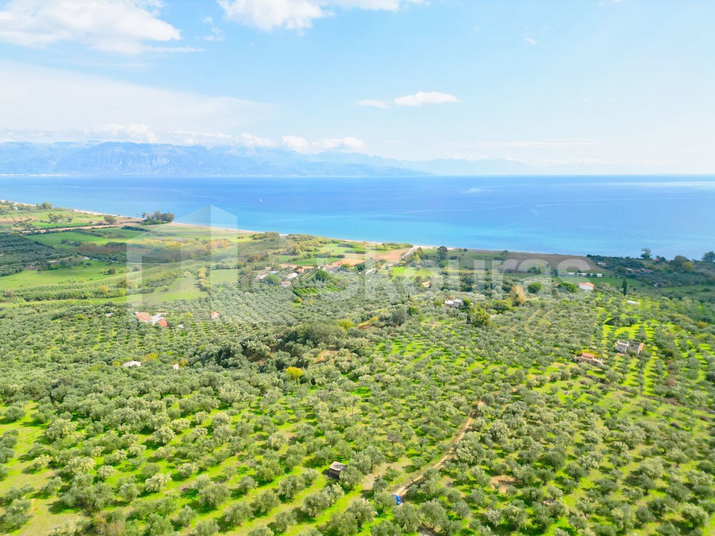Αγροτεμάχια 15.600 τ.μ. προς πώληση, Πεταλίδι Μεσσηνίας